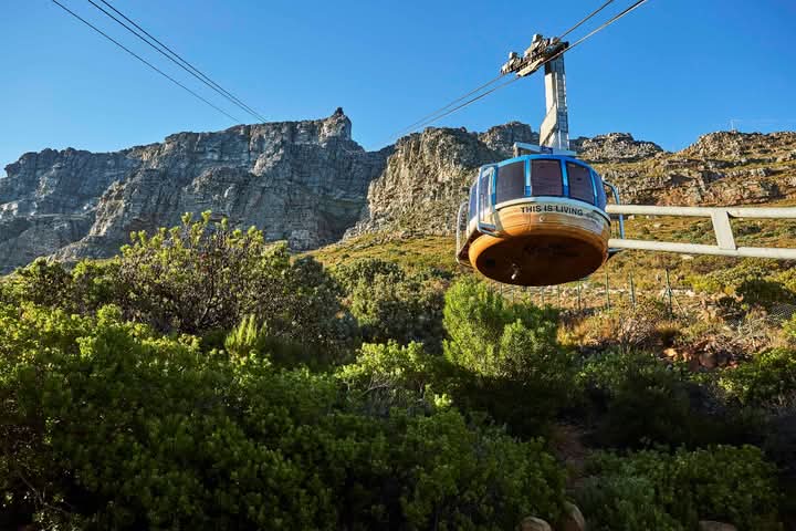 Table Mountain 11